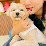 털로덮인친구들 서울상도점