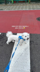 옐레드 문래역점