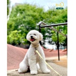 털로덮인친구들 서울상도점