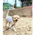 털로덮인친구들 서울상도점