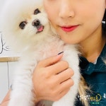 털로덮인친구들 서울상도점