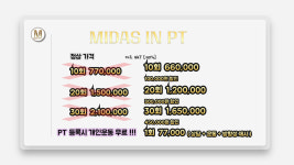 마이더스 인 피티