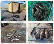 욕지와이드펜션