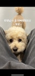 옐레드 문래역점