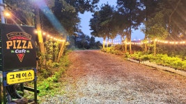 알지니포레스트