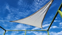 알지니포레스트