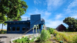 알지니포레스트