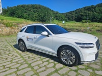 개타냥 펫택시