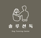 솔루션독