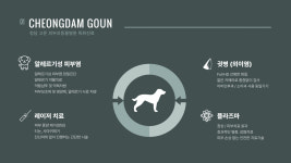 청담고운피부과동물병원