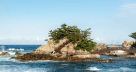 삼척로즈밸리 가족독채커플펜션