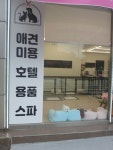 도봉애견미용앤호텔