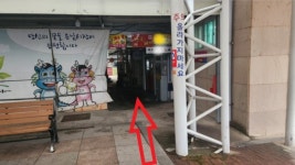 황금돼지포차