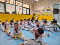 용인대하늘태권도