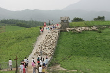 평창이야기펜션