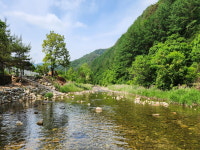 상우농장캠핑장