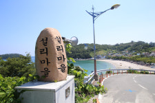 드림카약투어