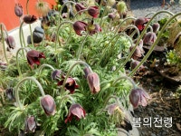 반딧불이 오토캠핑장
