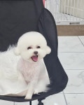 예쁘개해줄개