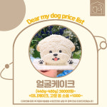 디어마이독