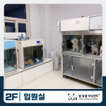 윌 동물외상센터