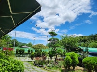 여의도생고기 내곡점