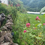 민박펜션 별빛달빛