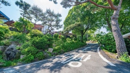 삼악산물안개펜션