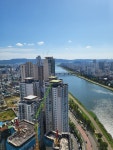 반도유보라공인중개사사무소