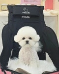 예쁘개해줄개