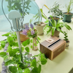 호다다 애견 호텔