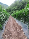 청산자연농원