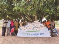 비전라이프