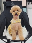 예쁘개해줄개