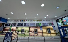 다비치안경 거창상림점