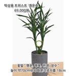 동탄화분팜
