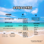 11번회센타