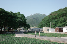 팜프라촌 프로그램