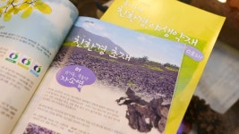 인상흠한의원