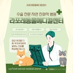 라포레동물메디컬센터