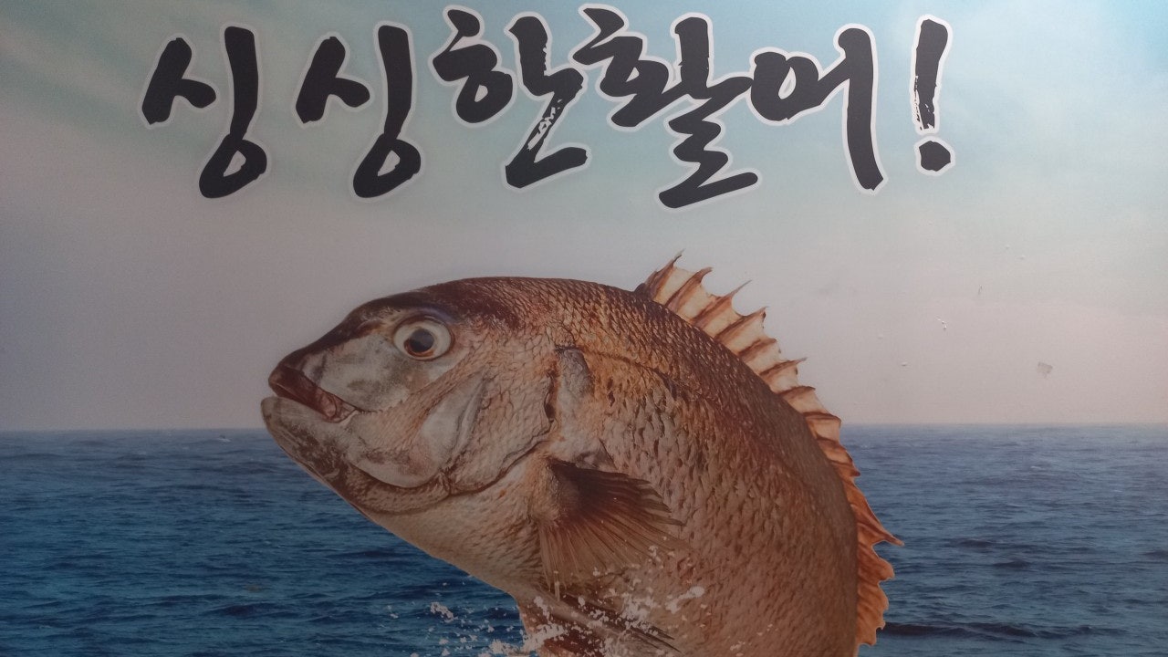 명수산 일산풍동점