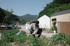 팜프라촌 프로그램