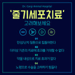 닥터코기동물병원