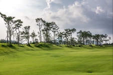 베르힐컨트리클럽 함평