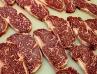 한우돈 정육식당