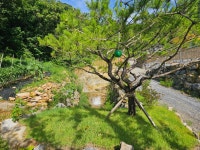 단양별마루캠핑장