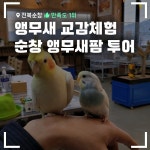 아삭