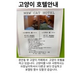 나비누리동물병원