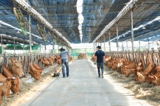 금송한우직매장