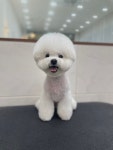 무르무르